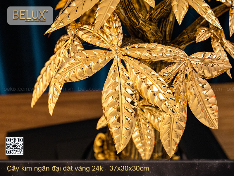 Chậu kim ngân dát vàng 24k cỡ to